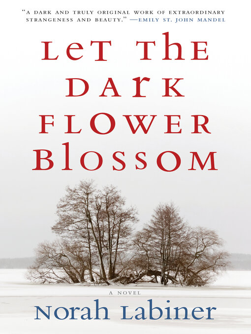 Title details for Let the Dark Flower Blossom by Norah Labiner - Available